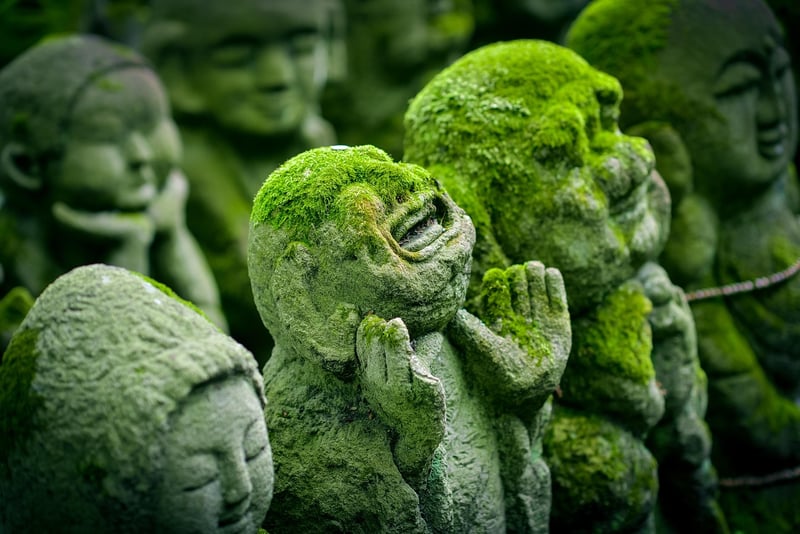 Japanese Zen Garden