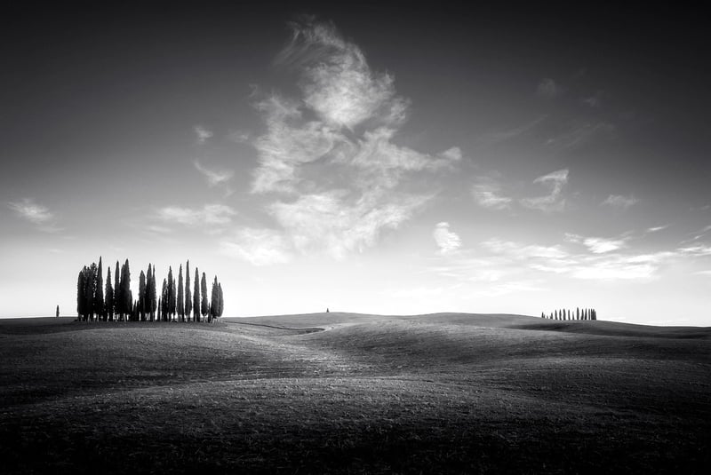 Tuscany Countryside